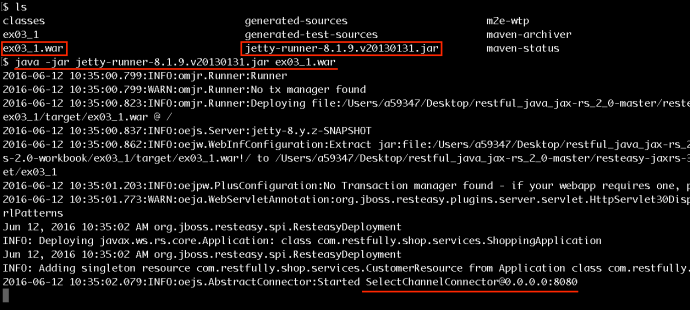 Screen Shot 2016-06-12 at 10.35.14 AM